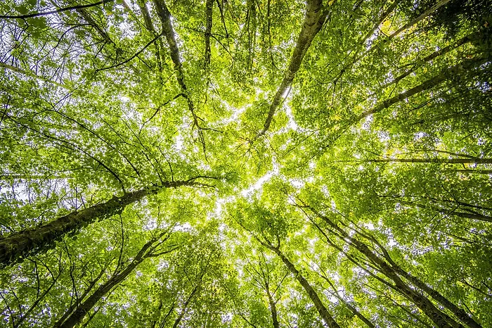 Une pompe à chaleur, une solution écologique ?