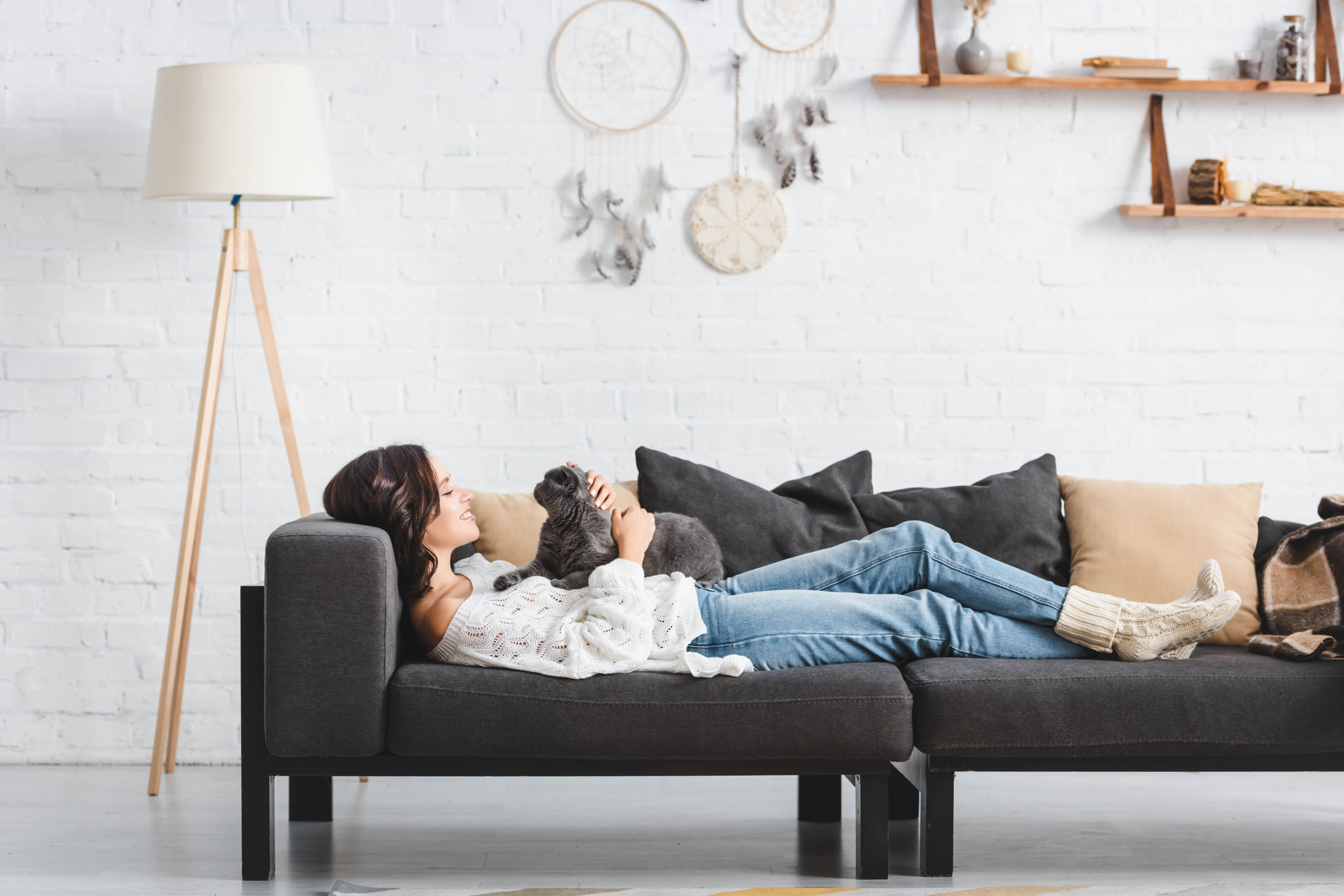 beautiful woman lying on sofa with scottish fold cat in living room